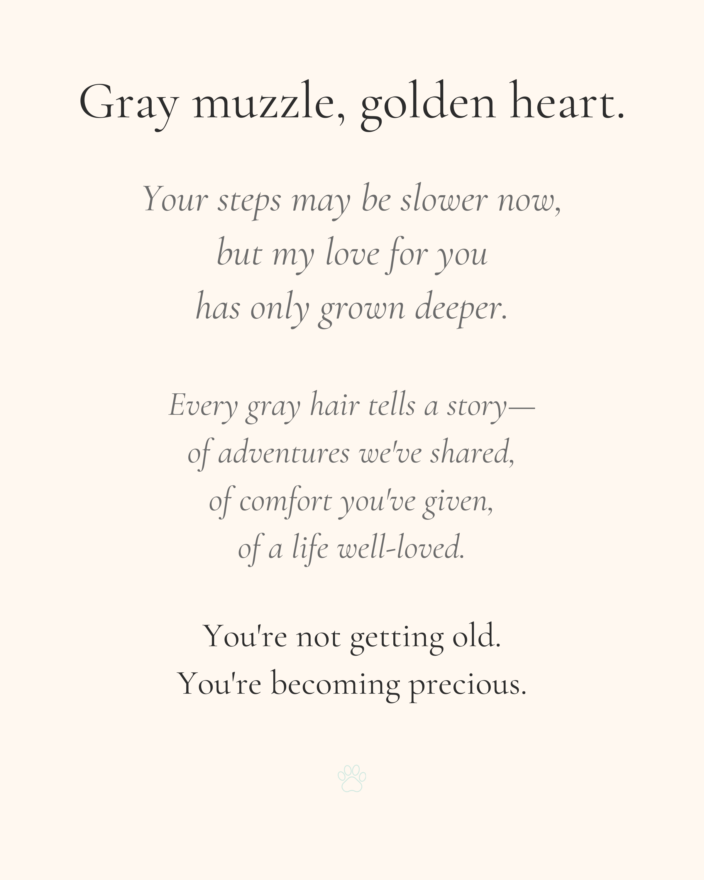 Gray Muzzle, Golden Heart - Senior Dog Print